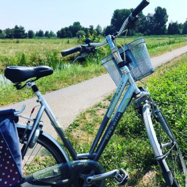Help Daan Roosegaarde! Waarom bestaat er geen fietsfile?